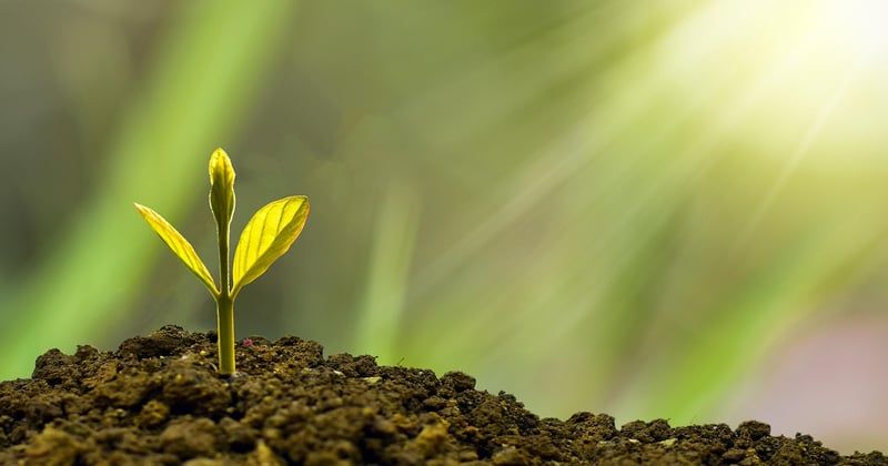 Comment établir un prévisionnel financier réaliste pour sa première année
