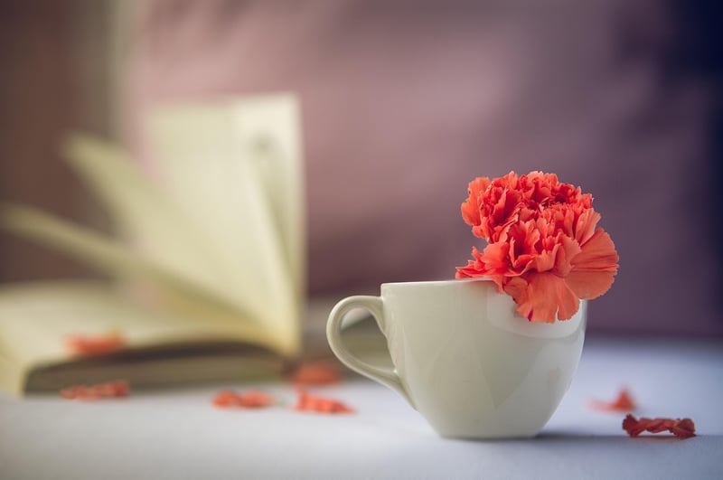 fleur