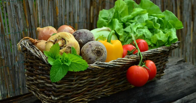 Les frais obligatoires : le minimum vital